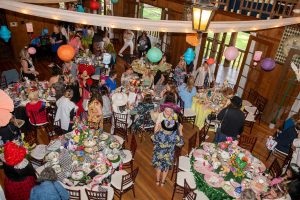 Birds Eye View of the Mad Hatter Tea Party