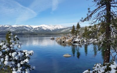SITS News February 12, 2026